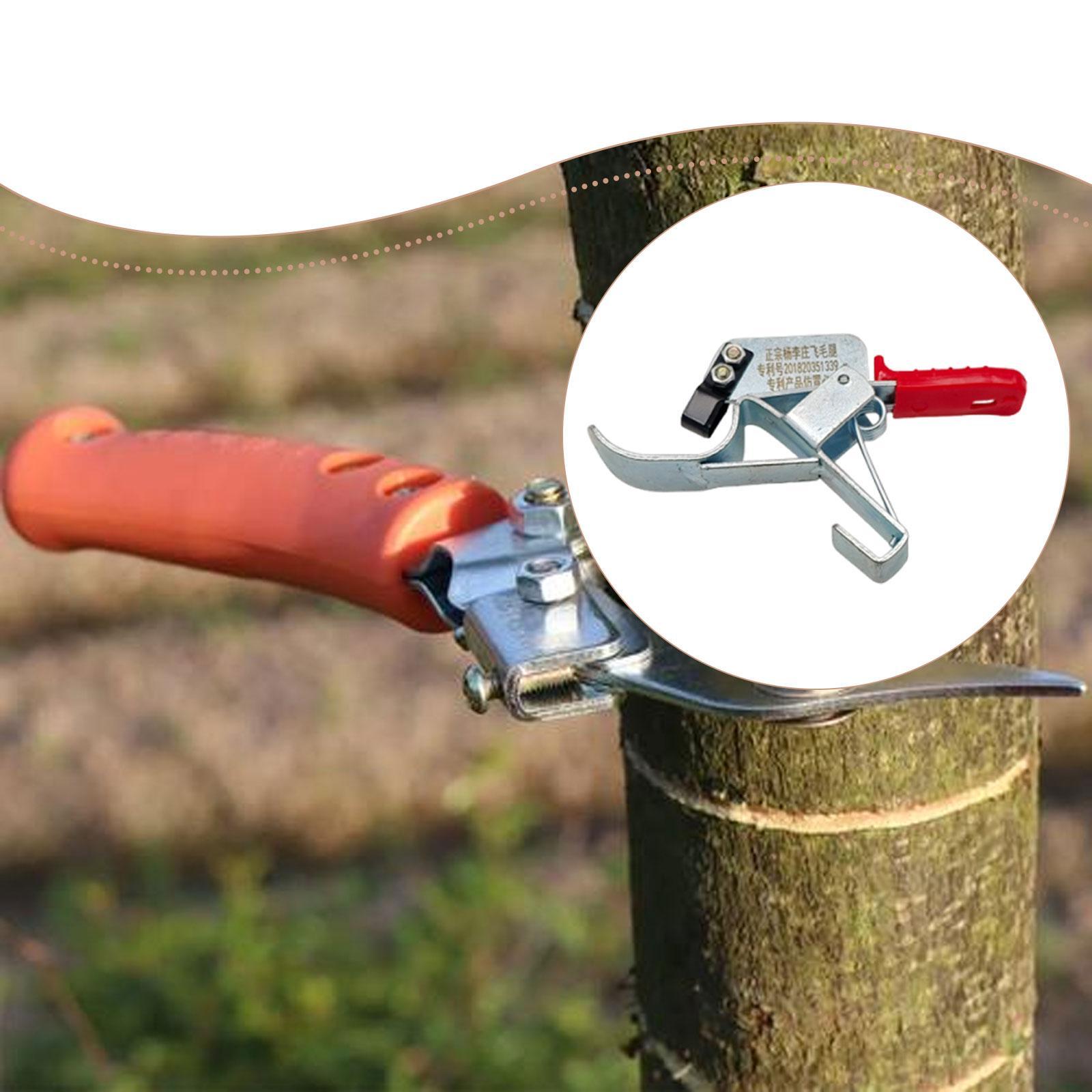 Ferramenta para Enfaixar Árvor - Gardening Tools Essential avaliação e preço