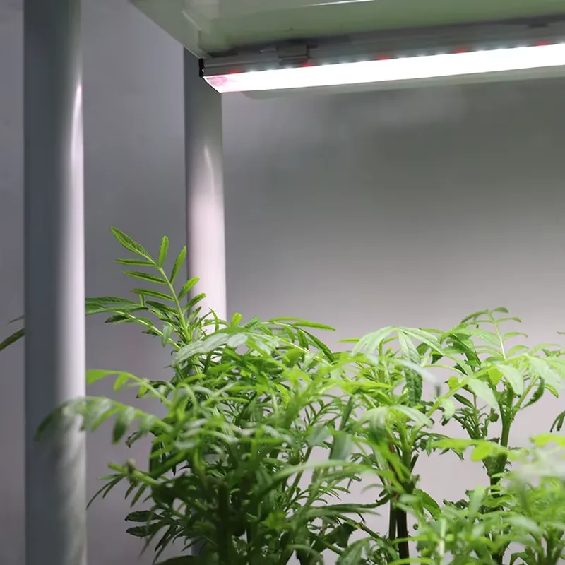 Jardim Vertical Móvel de 3 Nív - Self-Watering Planter avaliação e preço