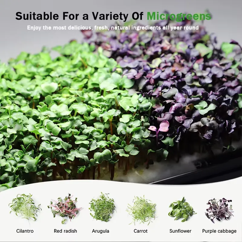 Sistema de Cultivo Hidropônico - Self-Watering Planter avaliação e preço