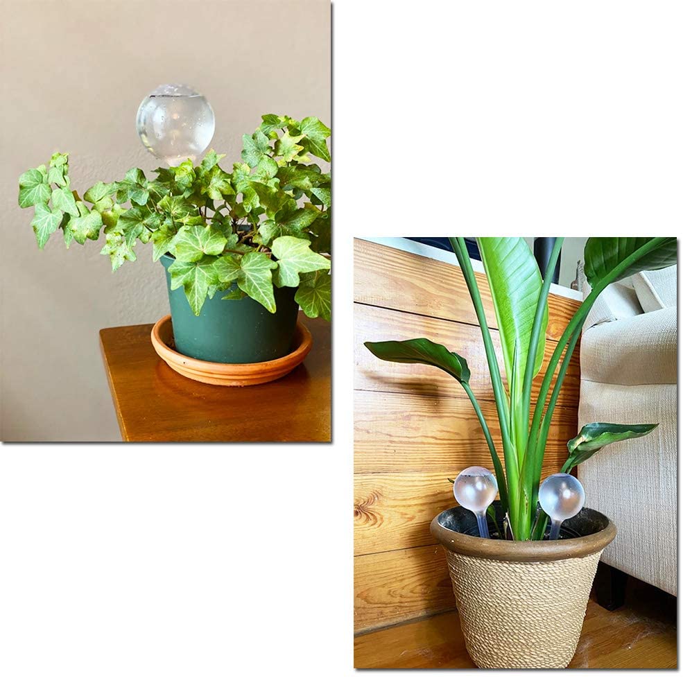 Alimentador Automático De Água - Automatic Plant Waterer avaliação e preço